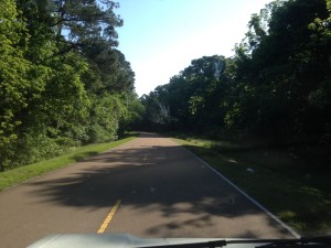 driving north on the Natchez Trace, MS